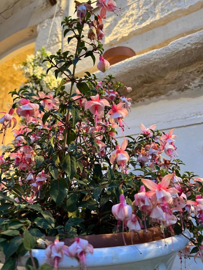 Dimora Martina Bed and Breakfast Loseto Buitenkant foto