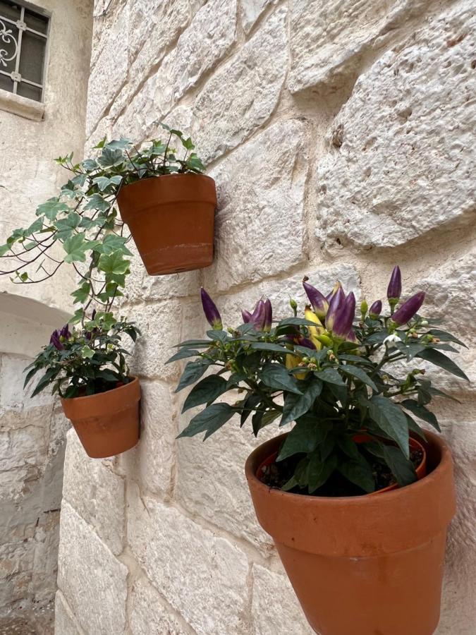 Dimora Martina Bed and Breakfast Loseto Buitenkant foto